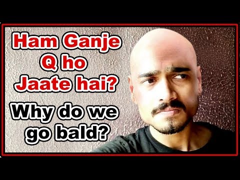 Why do we go bald? reason behind hair loss! हम गंजे यानि तकले क्यू हो जाते है ?