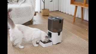 Automatic cat feeder with camera