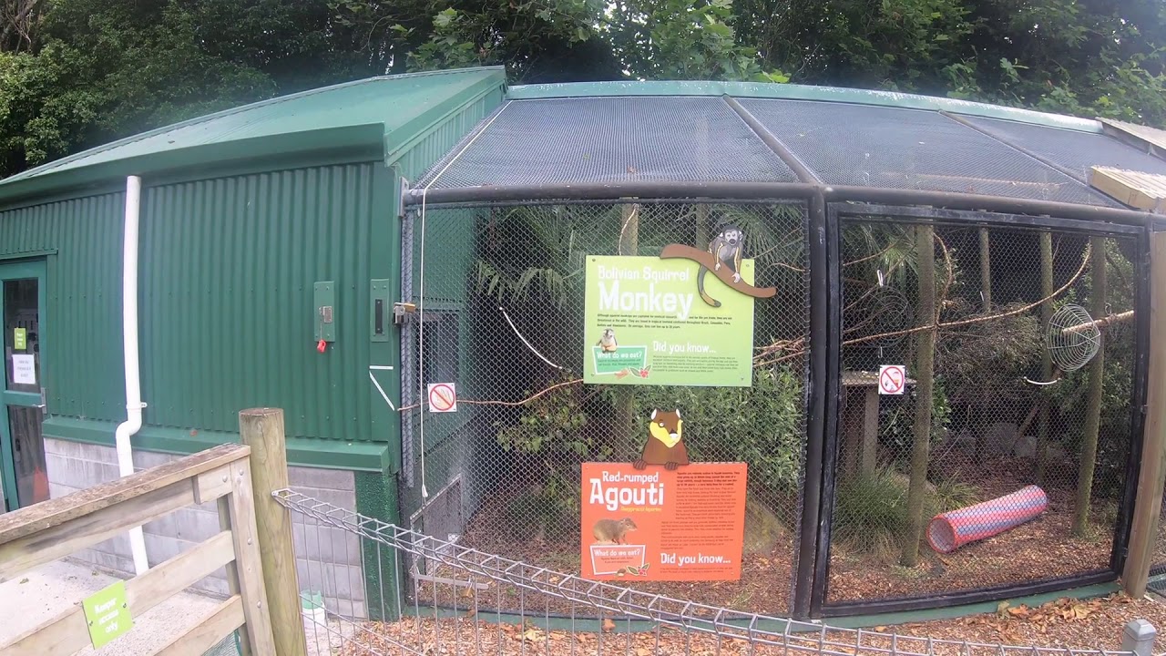 Brooklands Zoo New Plymouth, New Zealand Kids Park Zoo Turtle