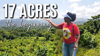 Planning the Transformation of 17 Acres in Jamaica | First Steps to My Off-Grid Dream Farm | VLOG