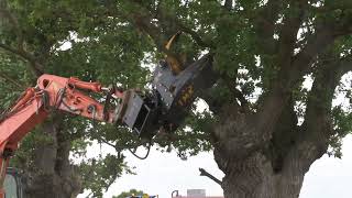 TMK 300 Tree Shear & Side Cutting Bracket! by NCD EQUIPMENT 938 views 8 months ago 2 minutes, 56 seconds