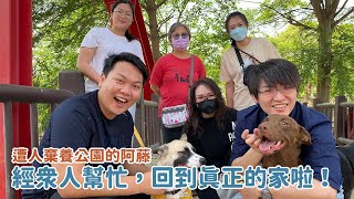 遭人棄養公園的阿藤經眾人幫忙這次回到真正的家啦浪浪到家了