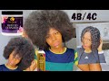 I’m SHOOK! 4B 4C braid out| Curls Dynasty review Twisted definition cream and kala hari demo