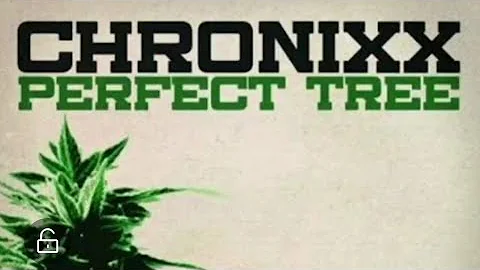 Chronixx - Perfect Tree [lyrics]