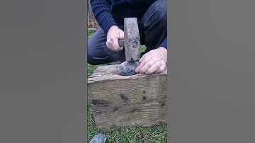 Splitting dactylioceras #ammonite #fossil nodules with the hammer #whitby #fossilhunter #shorts