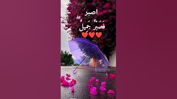 قران كريم بصوت جميل القارئ اسلام صبحي سوره المؤمنون ،،،تريح القلب ❤️