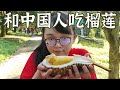 和中国人在大马吃榴莲！【2020马来西亚劳勿榴莲度假村之旅#vlog】