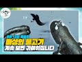 대두처럼 쏠린 비율! 그러나 밥도둑 보양식이라는 이것의 정체는? | 아침이 좋다 | 08월 13일