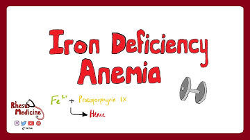 IRON DEFICIENCY ANEMIA: Causes, Clinical Features, Pathophysiology, Diagnosis, Treatment | Rhesus