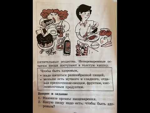 Физкультура 2-4 кл/Е.Н.Литвинов/Тема: Как устроен человек/18.02.23 14:11