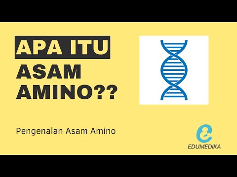 Video: Apa asam amino C?