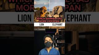 Animals with the Longest Lifespan 🐘 | Crocodile vs Horse | Lion vs Elephant | #shorts #quiz #facts