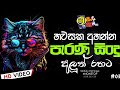     tiktok hits sinhala songs  dj nonstop 2024 adrbeats