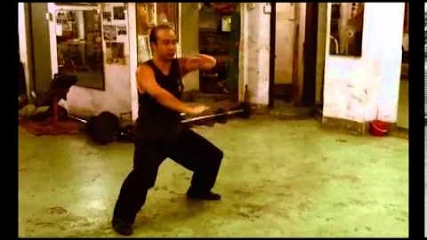洪拳學社 (趙威洪家拳 Chiu Wai Style Hung Gar) - 虎鶴雙形 FU HOK SEUNG YING