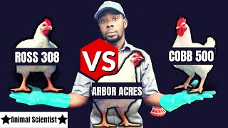 Cobb 500 VS Ross 308 VS Arbor Acre - Which Broiler Breed is Best
