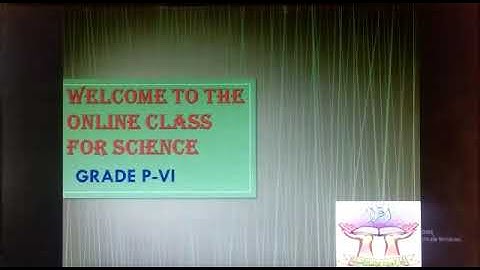 PVI SCIENCE LESSON # 64 (PART 2) TOPIC: CH # 8 ACTIVITY 1,2,3 & PAGE # 109 Q 3 Dated: 12/8/2020