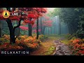 🔴 Relaxing Zen Music 24/7, Stress Relief Music, Sleep Music, Meditation Music, Study, Calming Music