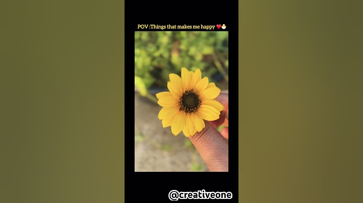 Even small things can makes anyone’s happy #music #shorts  #expo #fyp #onelife #ytshorts  #smile