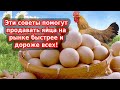 Купить яйцо или продать яйцо - бизнес деревне. Учу быстро и дорого продавать яйца