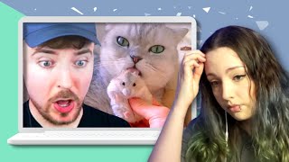 Discussing PROBLEMATIC animal clips on Beast Reacts