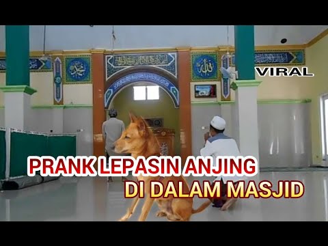 prank-lepasin-anjing-di-dalam-masjid