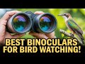 Top 5 Best Binoculars for Bird Watching in 2026! 🐦✨ (Must-See Picks!)