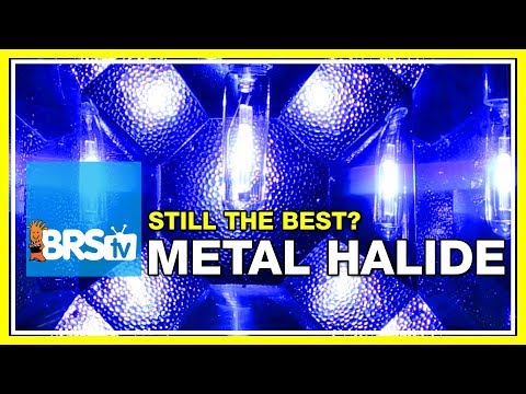 Video: Anong color temp ang metal halide?