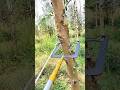 Effortless Tree Tying，The Genius Rope-Threading Tool.