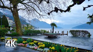 Switzerland  Weggis, tranquillity and relaxation in front of a beautiful lake & mountain panorama