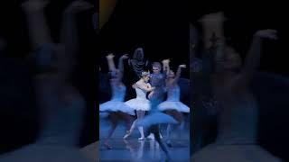 Ballerina Turns Back into a Swan #ballet #ballerina #swanlake