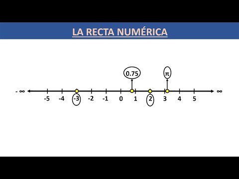 Cómo graficar números en la recta numérica.