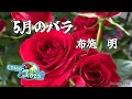 25' 5月のバラ 塚田三喜夫(布施 明) cover🎤koza!