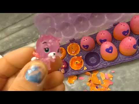 hatchimals s4