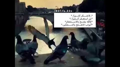Thumbnail of Al ameri