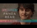 Capture de la vidéo Panda Bear On Ariel Pink - Pitchfork Playlist