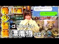 【トレジャーハンター】えっ？テレビ取材がきた！100年前の漂着物お宝ランキング。一番レアなのはどれ？ビーチコーミング特別編。