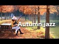 가을에 듣기 좋은 재즈 모음 | Autumn jazz music | 카페에서 커피마시며 듣기 좋은 음악