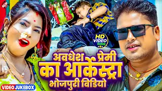 Download Lagu अवधेश प्रेमी यादव का आर्केस्ट्रा भोजपुरी वीडियो | #Nonstop Arkestra Songs | Bhojpuri Hit Song 2025 MP3 Download Lagu अवधेश प्रेमी यादव का आर्केस्ट्रा भोजपुरी वीडियो | #Nonstop Arkestra Songs | Bhojpuri Hit Song 2025 MP3
