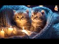 Hours of relaxing music for cats  soothing music  sleepy cat 2