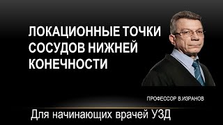 Локационные точки сосудов нижней конечности