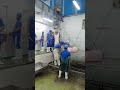 stunning, sticking,hair removing, evisceration, and half carcass cutting