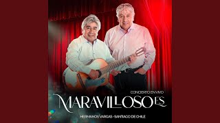 Video thumbnail of "Hermanos Vargas - Medley Coros"