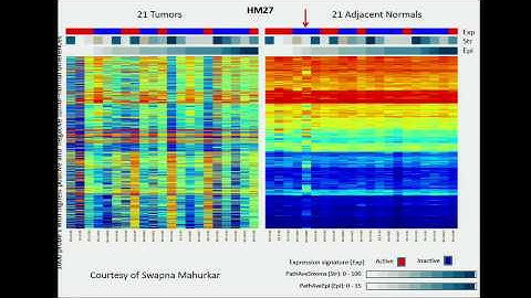 TCGA: Genomic Characterization of Cancer-Adjacent Tissue - Melissa Troester