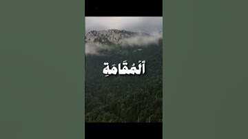 آيات بينات (سورة فاطر-القارئ علي جابر) #المصحف #قران_كريم #صوت_جميل