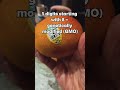 Those little number codes on produce .#absolute3 #withtaralea #plucodes #foodawareness