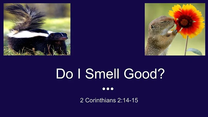 Do I Smell Good - Rev. David Beaudoin