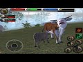 Sheep simulator ultimate farm simulator by gluten free games