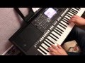 «Одинокая Ветка Сирени»  на Yamaha PSR S750.