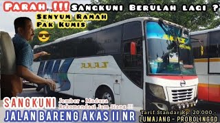 Trip Report‼️DRIVER KUMIS BERULAH LAGI 🤦 BUS AKAS II NR 'SANGKUNI' Jember - Madura PP. #akas #akasnr