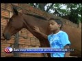 Fala Cidade 25/10/2013   Bauru: criança faz B O contra o pai para evitar venda de cavalo